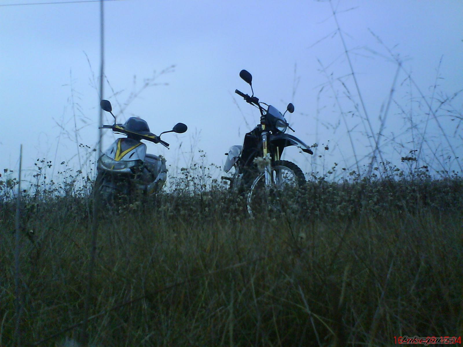 Photo 1489465