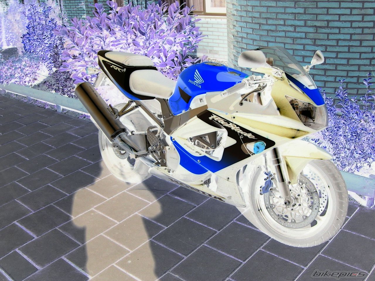 Bike Photo 1489551