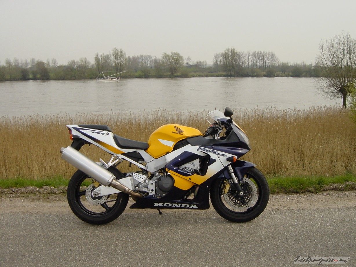 Photo 1489564