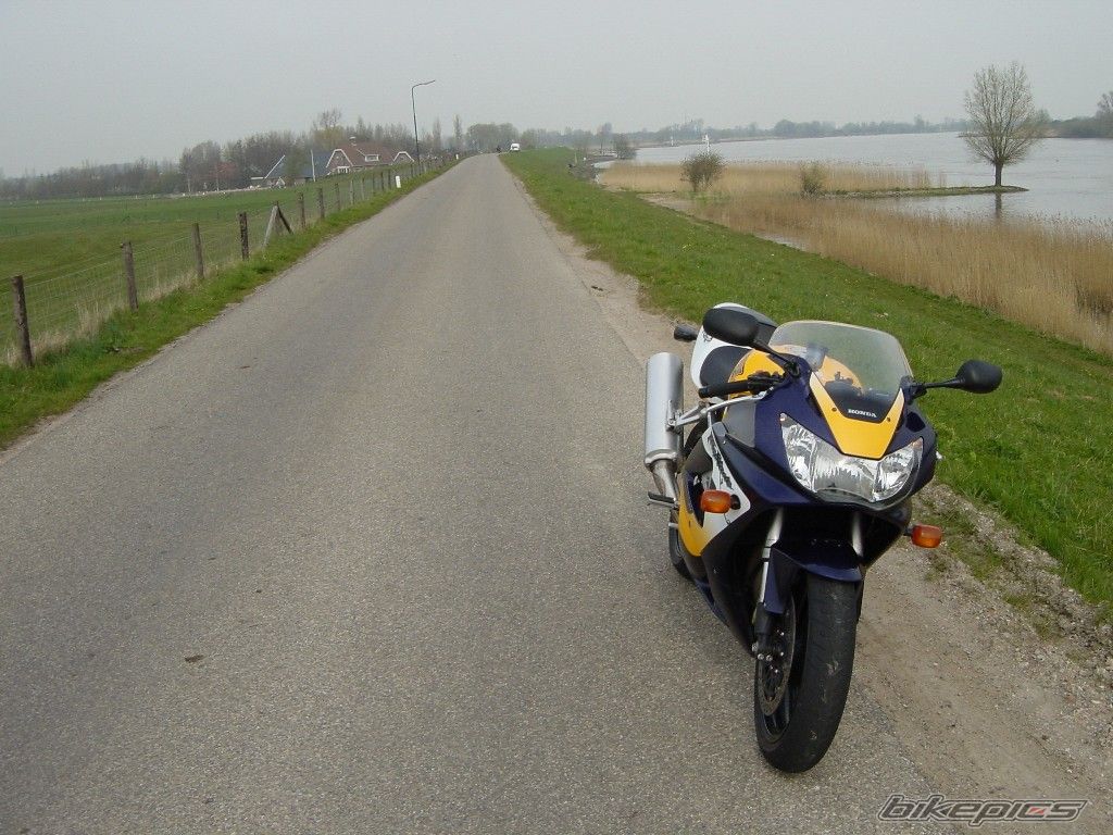 Photo 1489565
