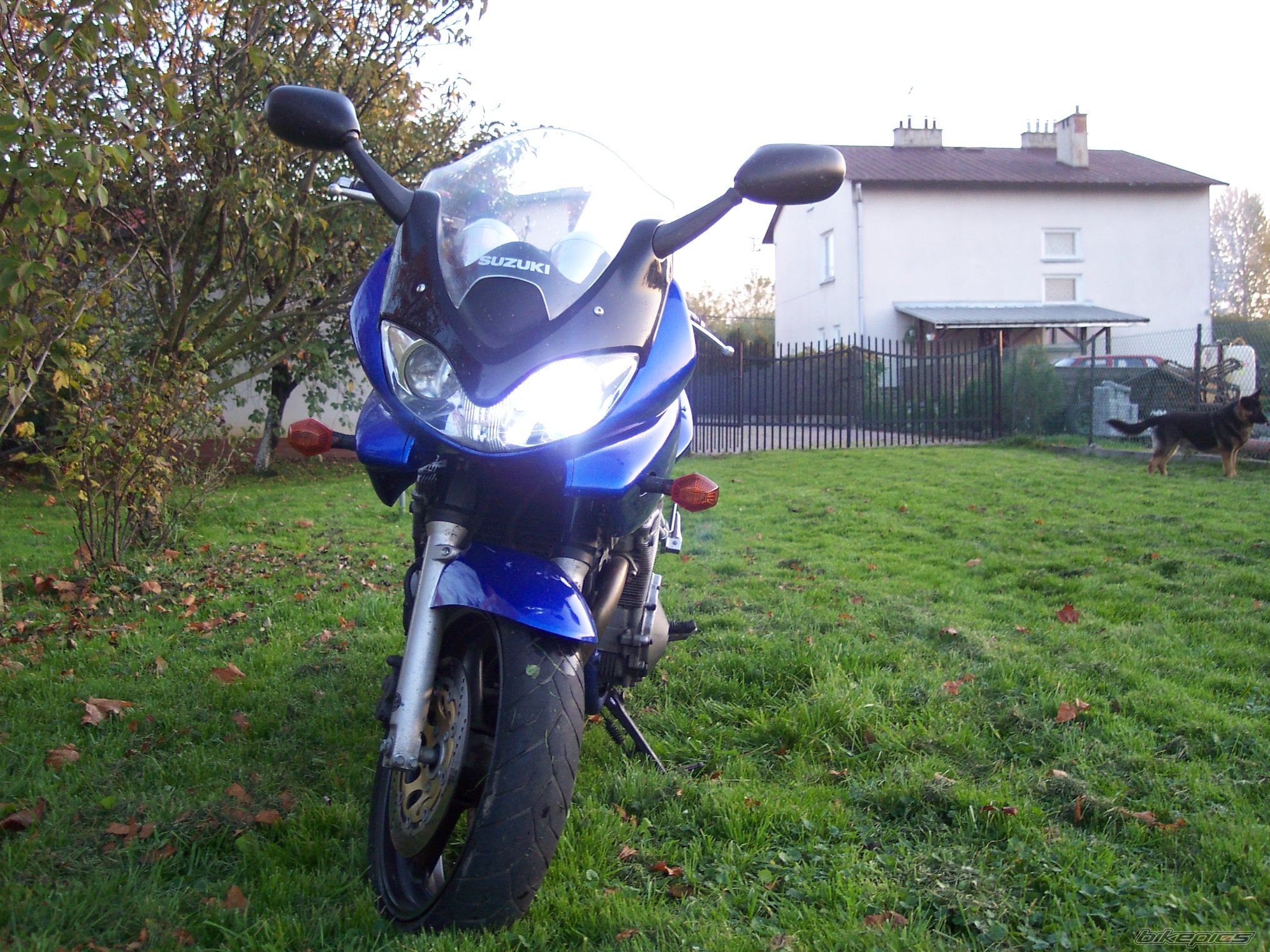 Photo 1489578