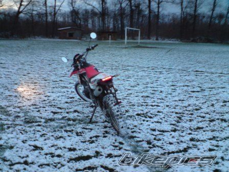 Bike Photo 1489622