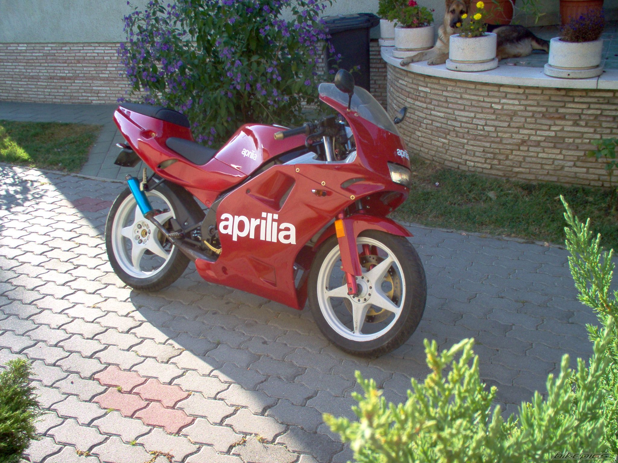 Photo 1489669