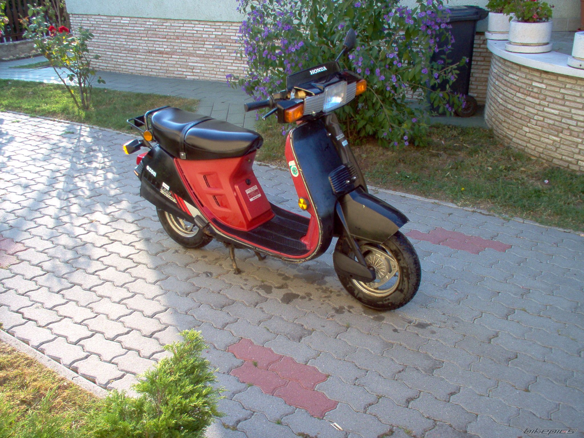 Photo 1489681