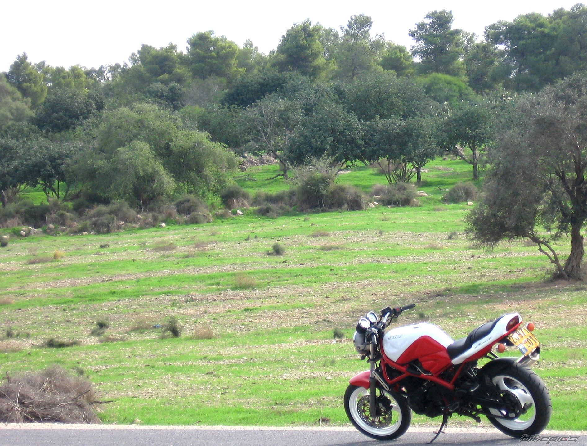 Bike Photo 1489735