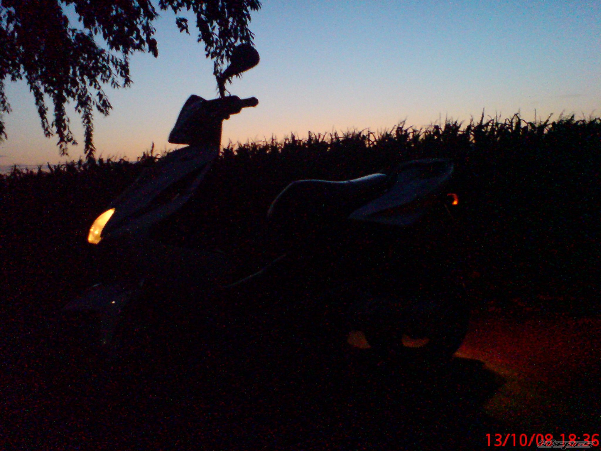 Bike Photo 1489739