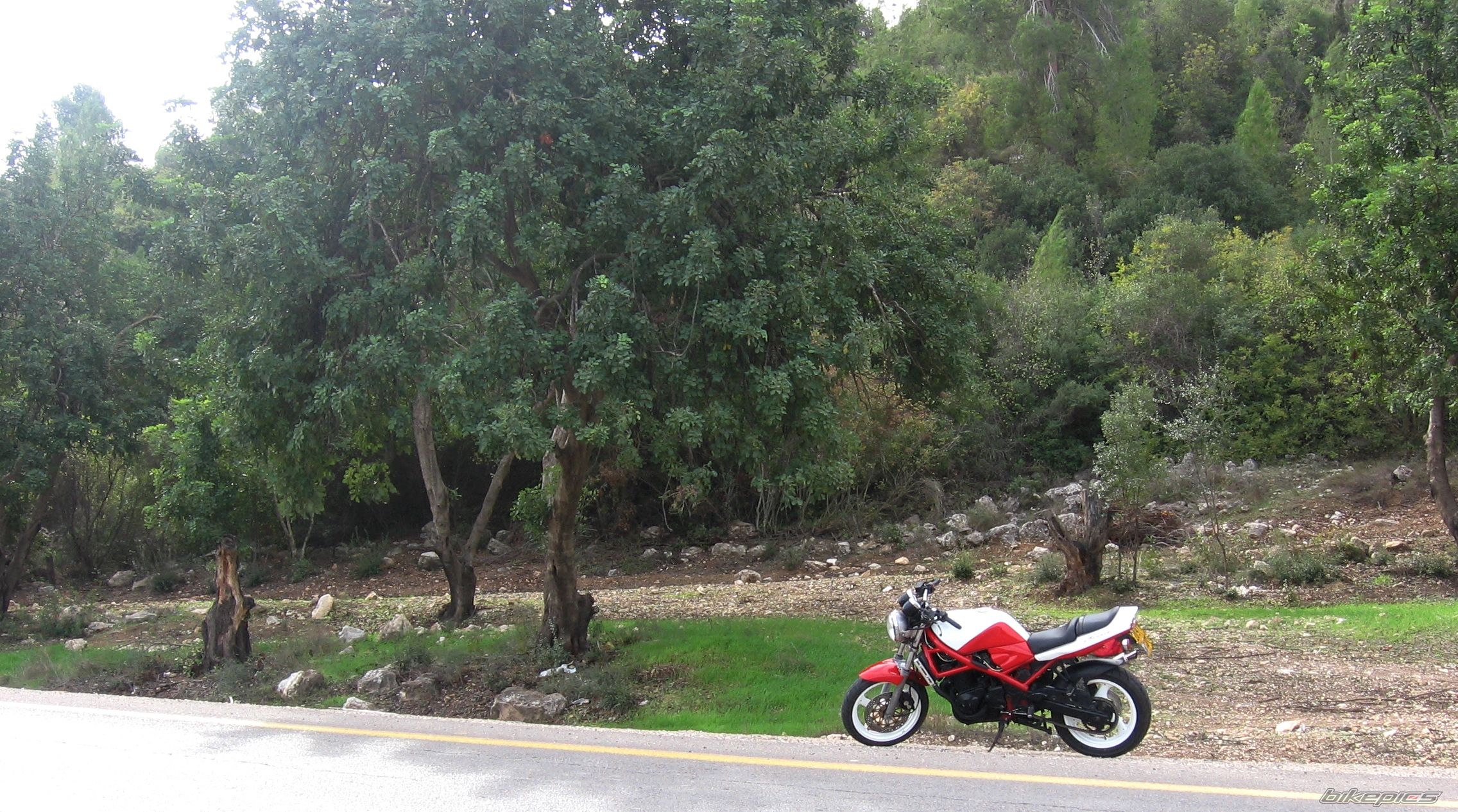 Bike Photo 1489746