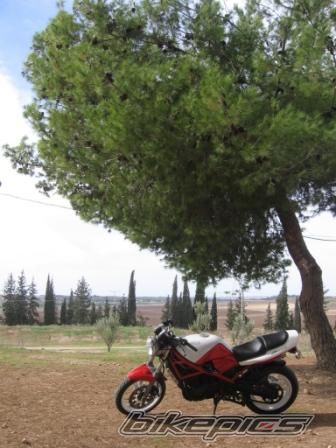 Bike Photo 1489747