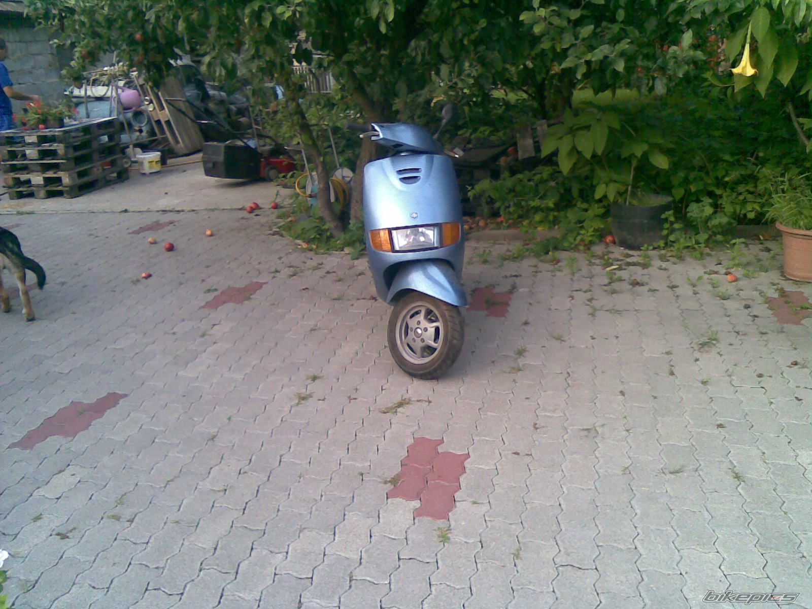 Photo 1489829