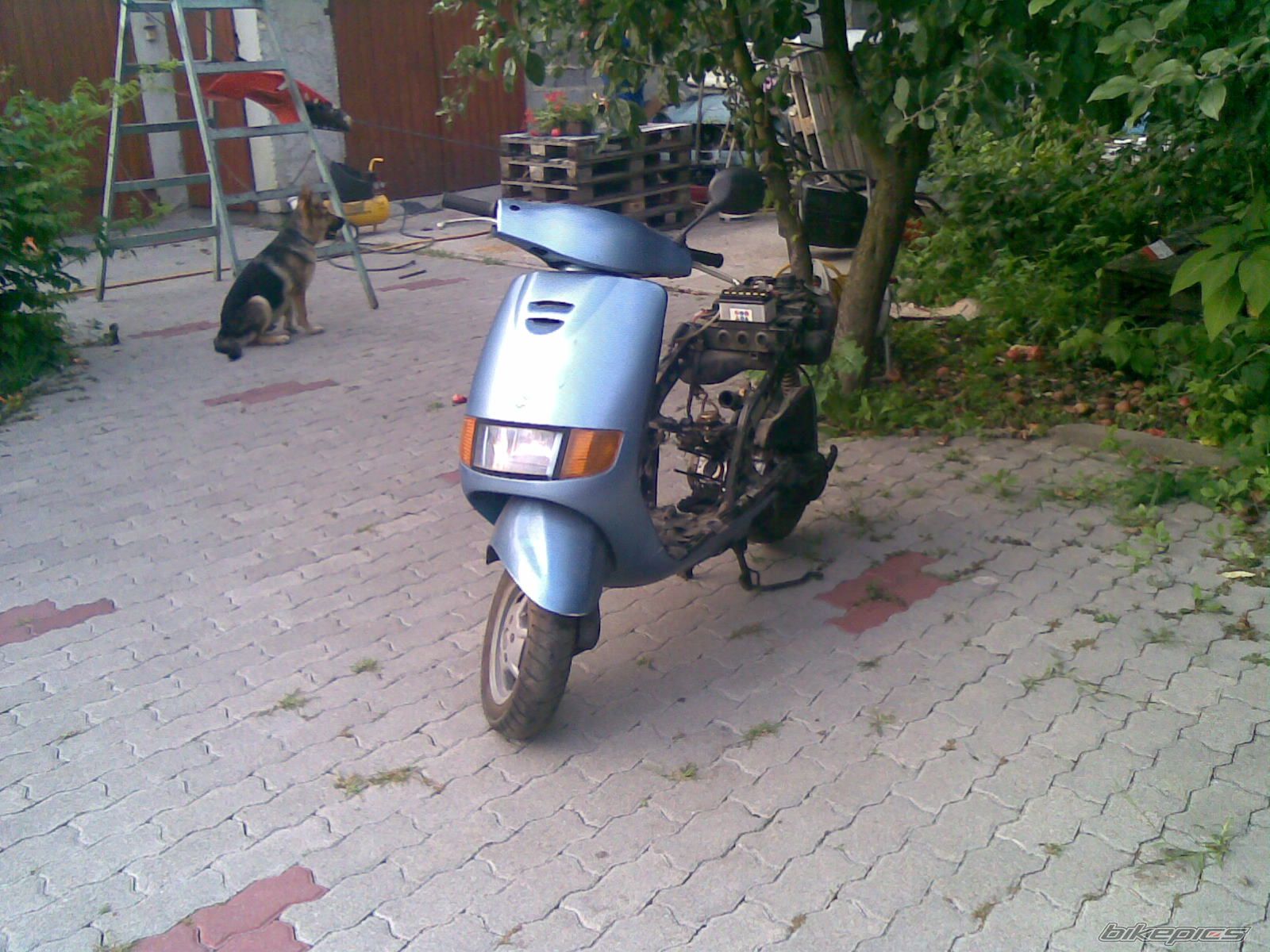 Photo 1489832