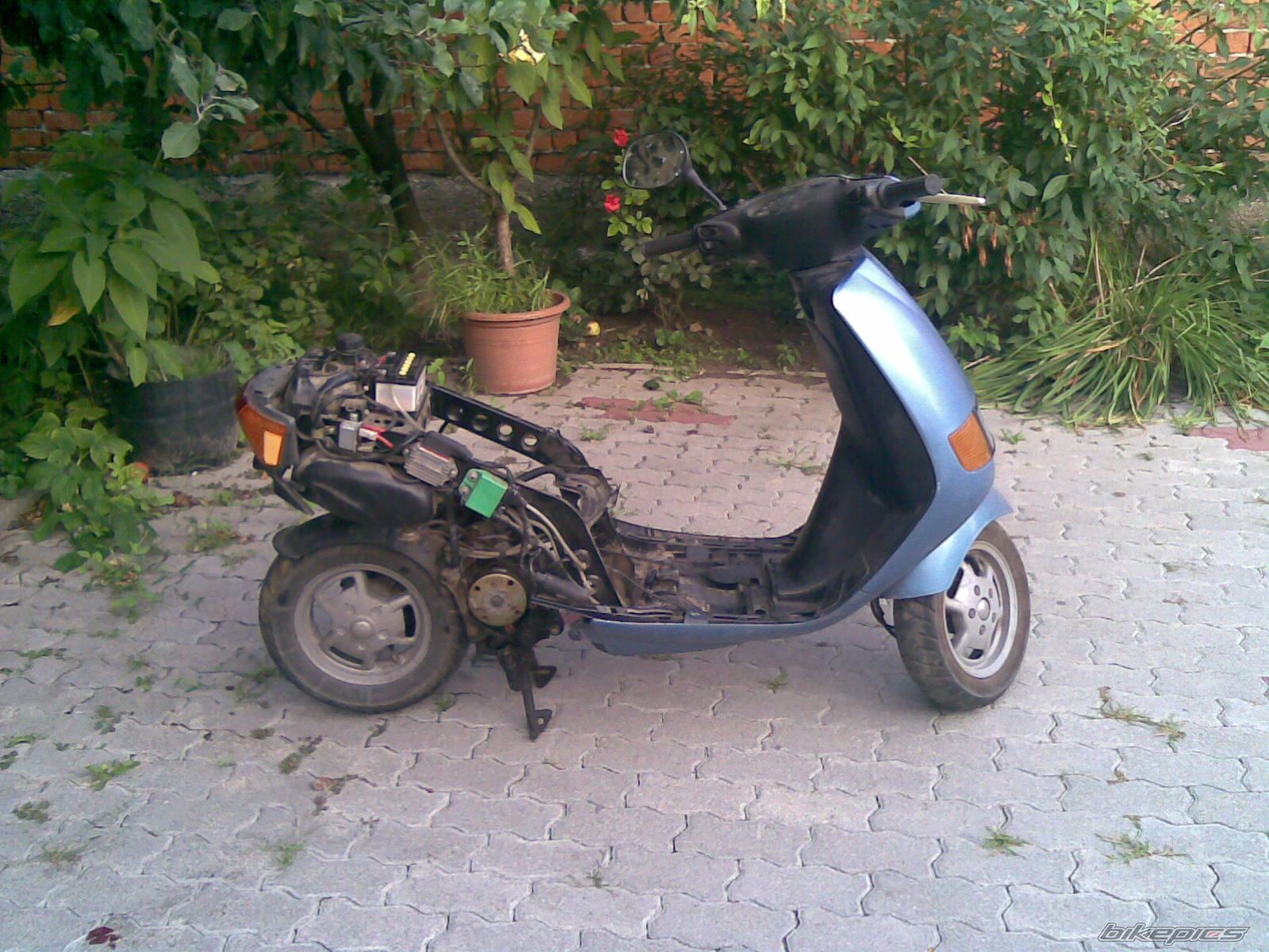 Photo 1489835