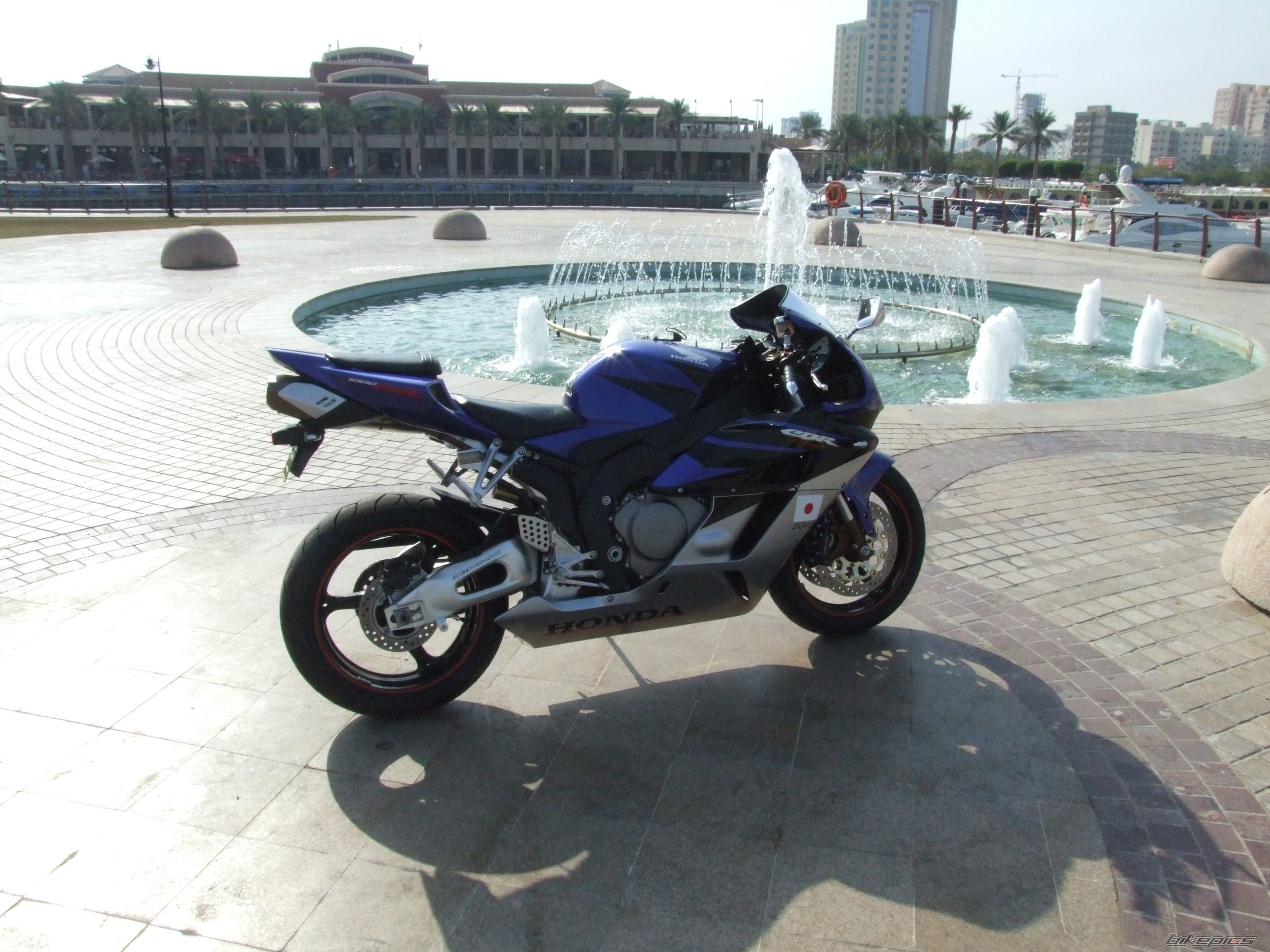 Photo 1489842