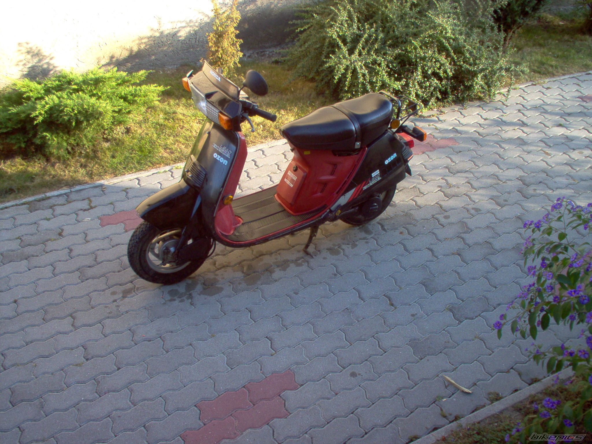 Photo 1489855