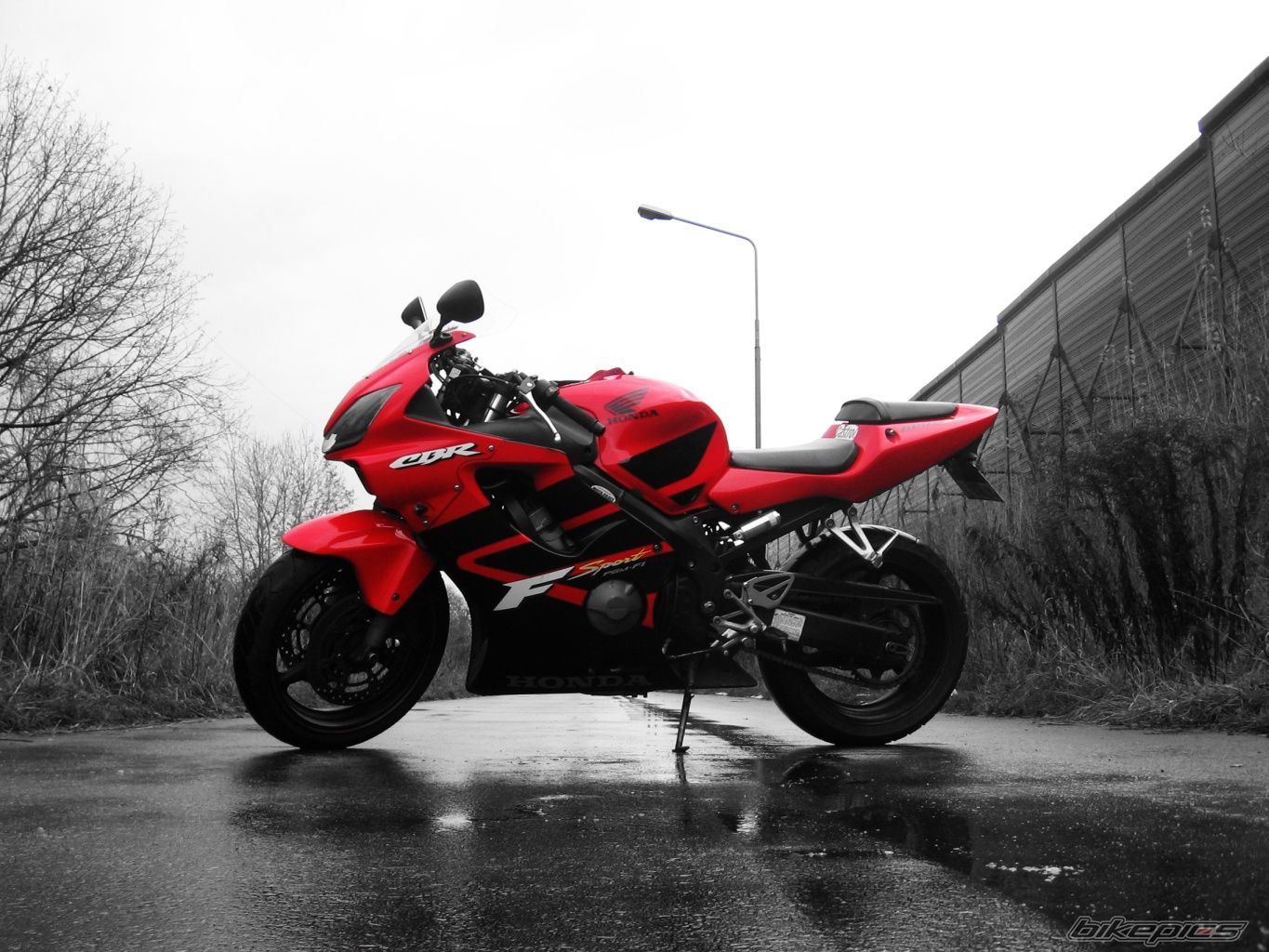 Photo 1489867