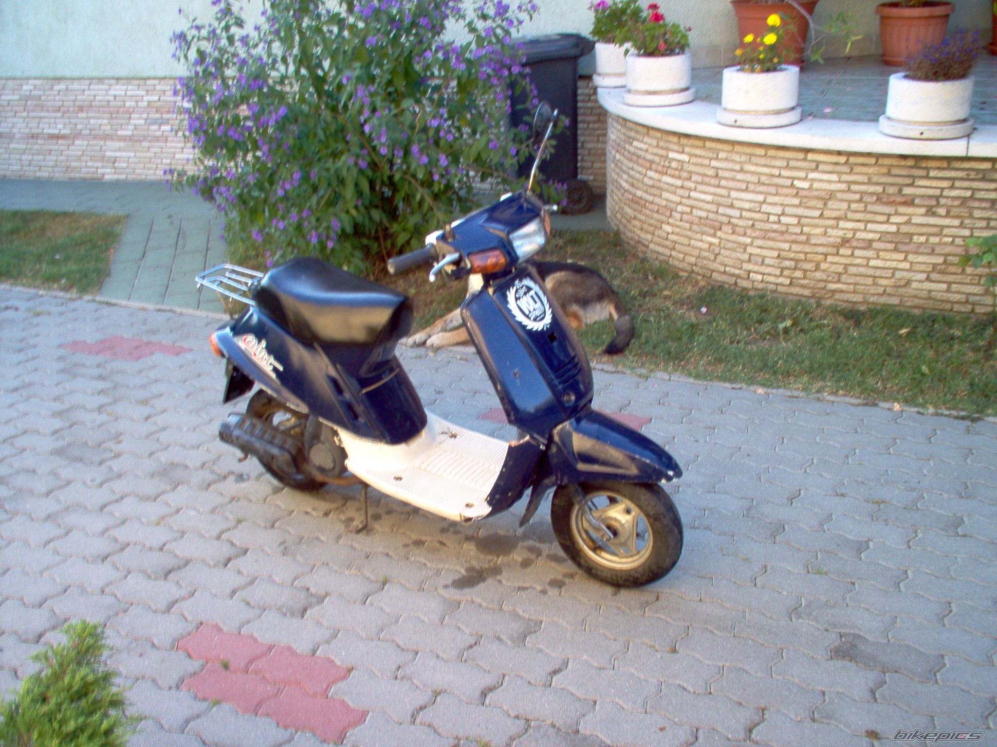 Photo 1489882