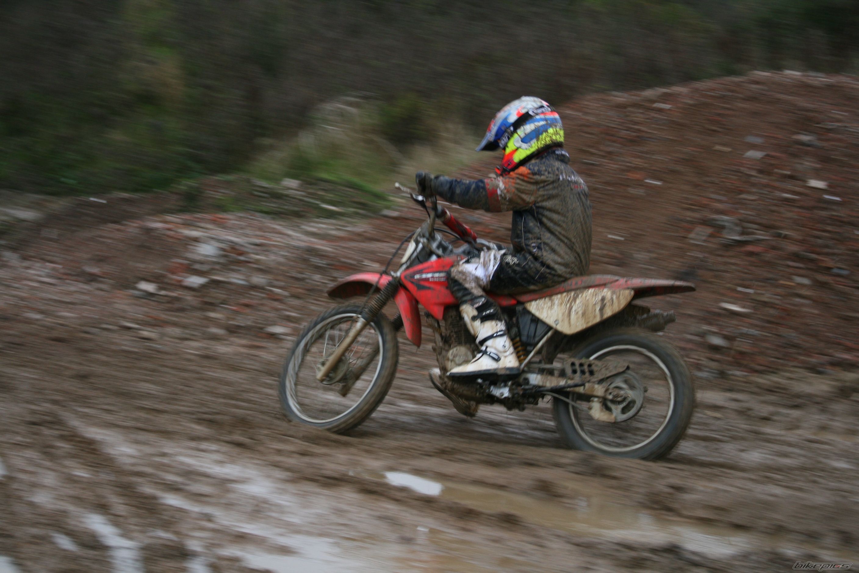 Photo 1489921