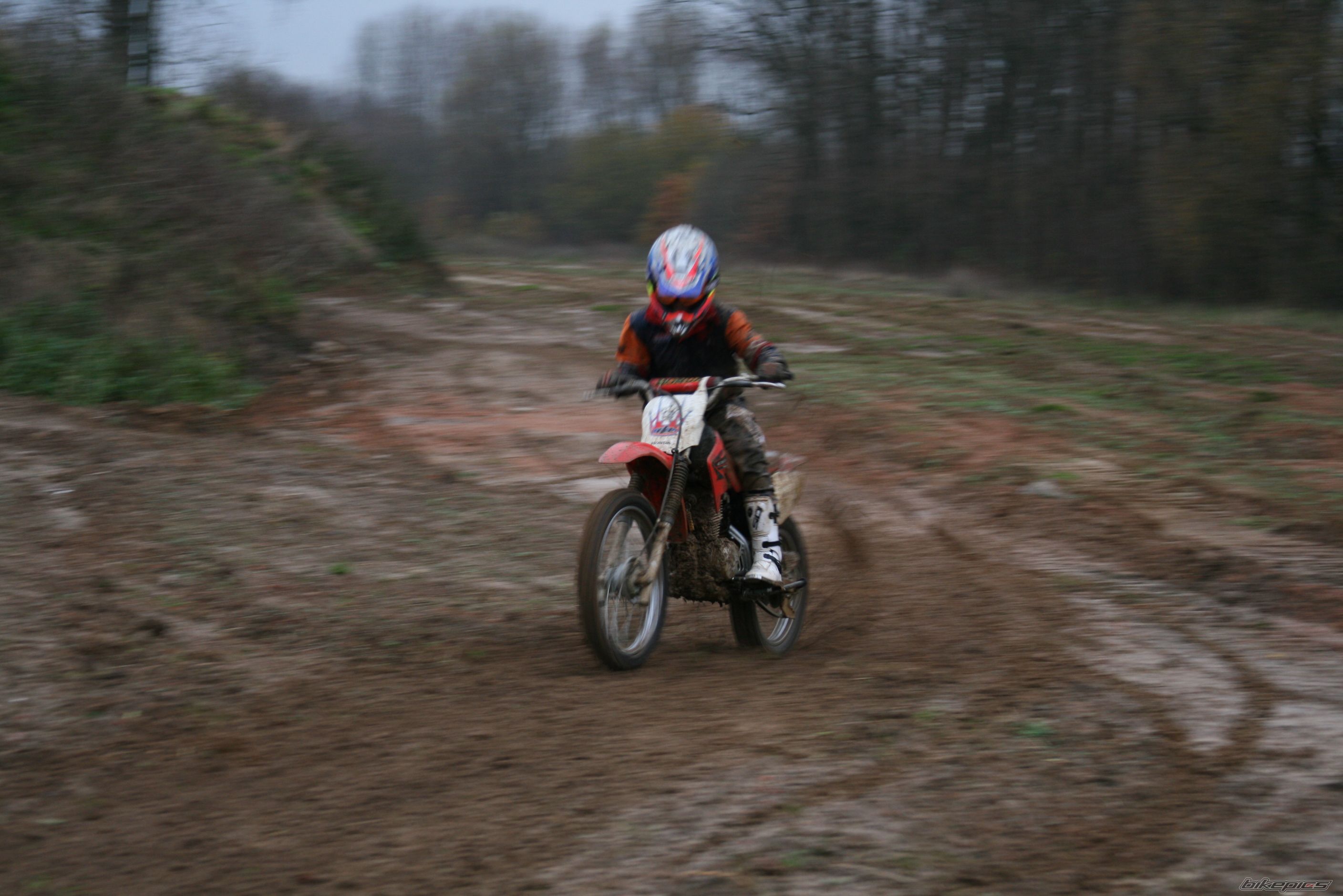 Photo 1489931