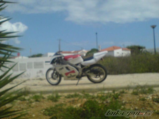 Photo 1489954