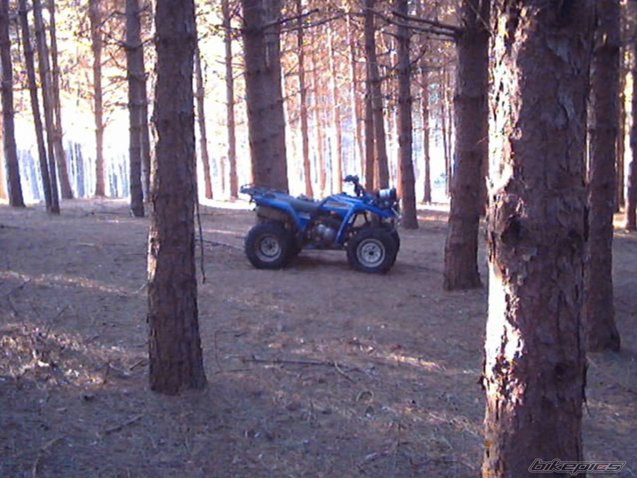 Bike Photo 149011