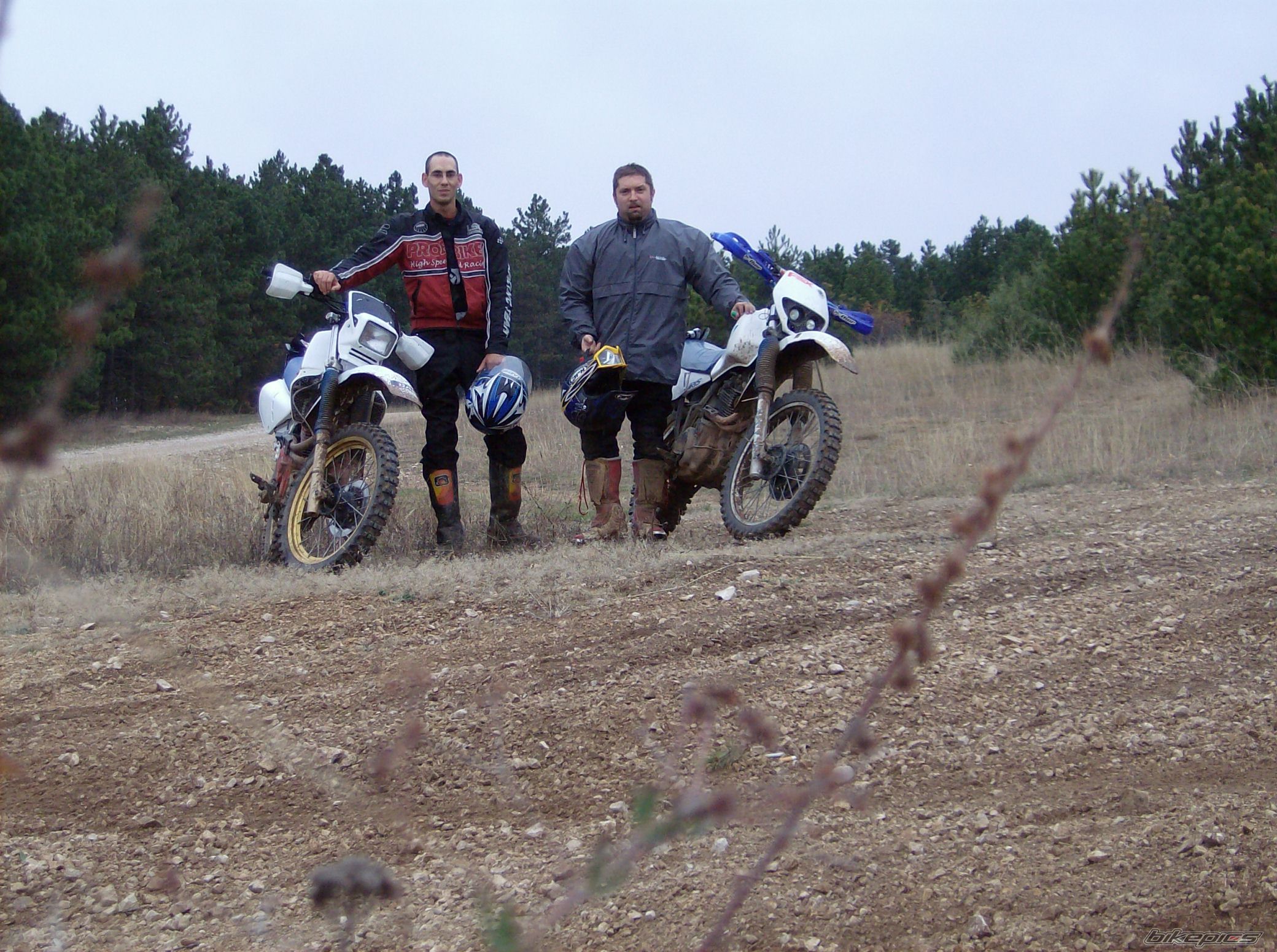 Photo 1490206