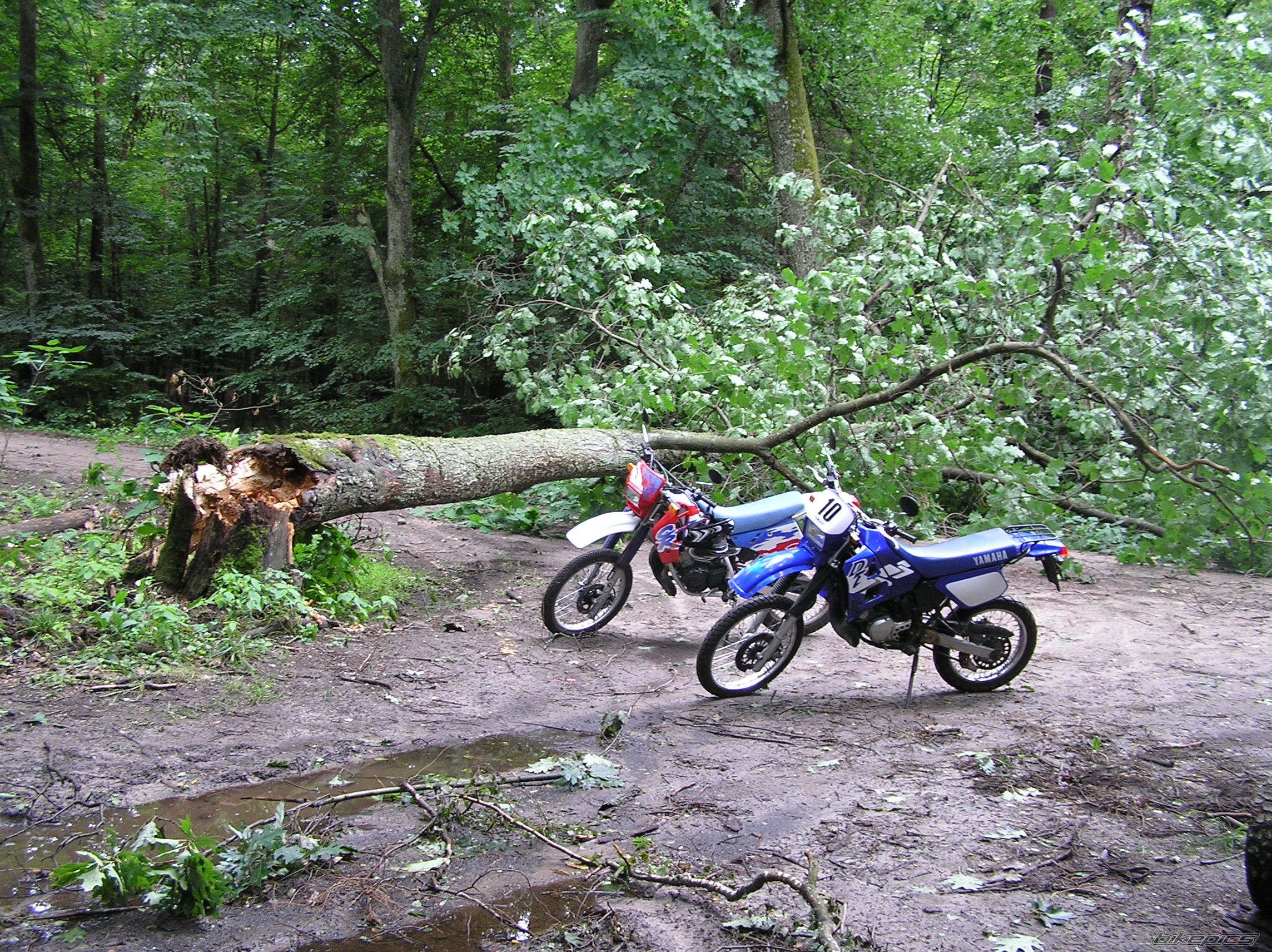 Bike Photo 1490423