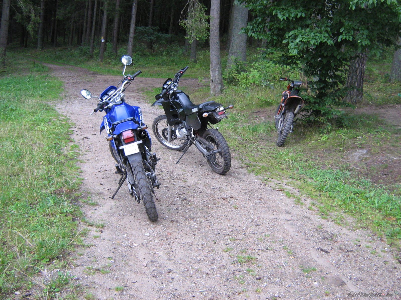 Bike Photo 1490435