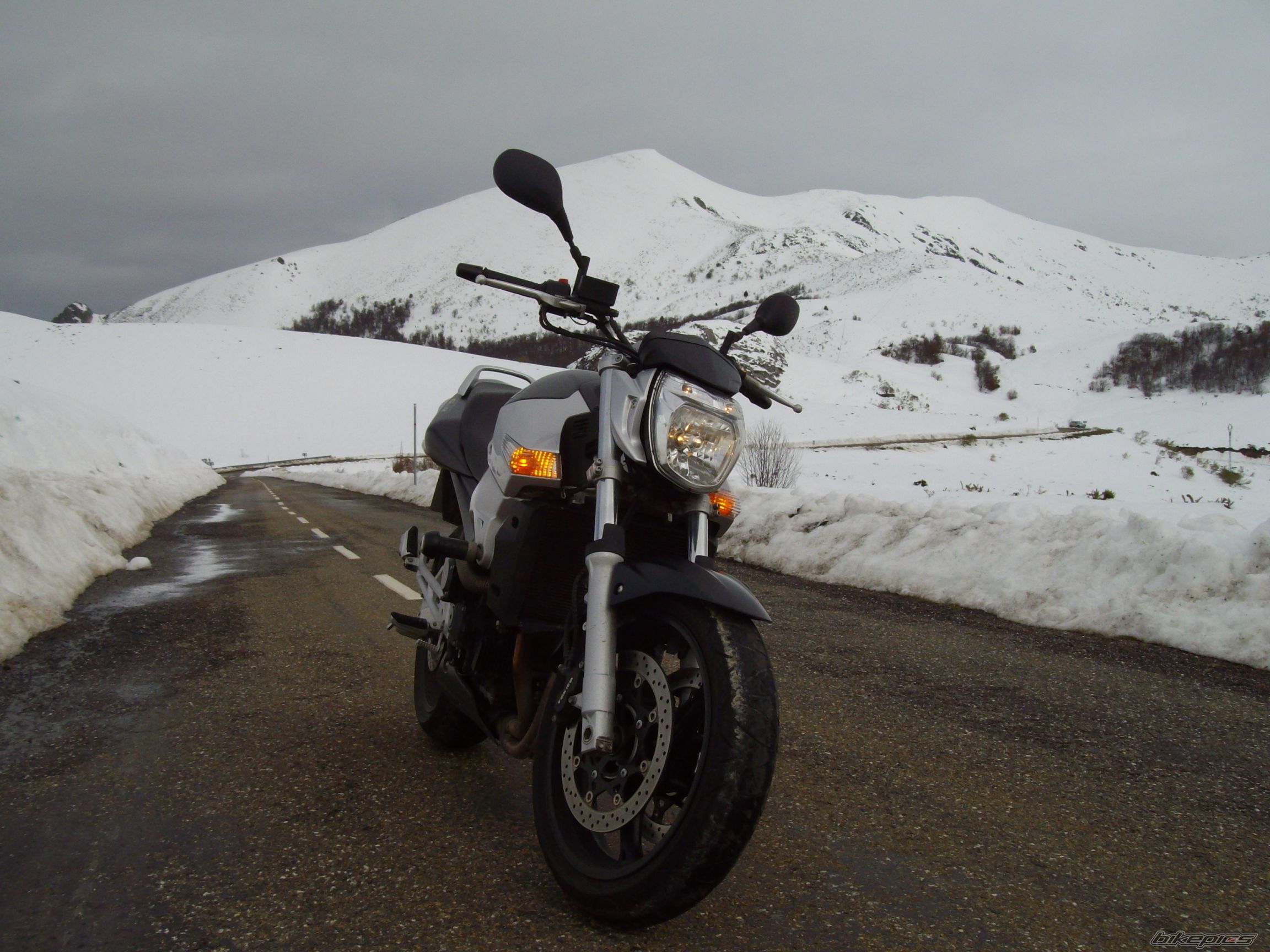 Photo 1490454