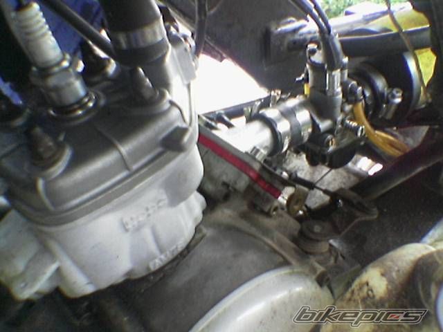 Photo 1490547