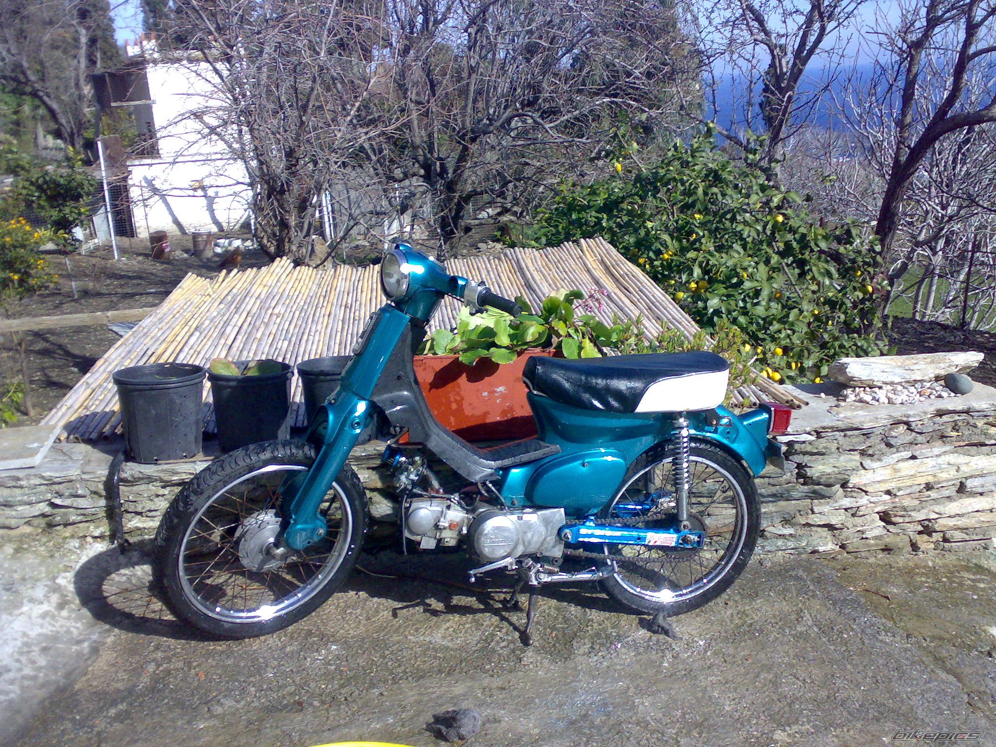 Bike Photo 1490779