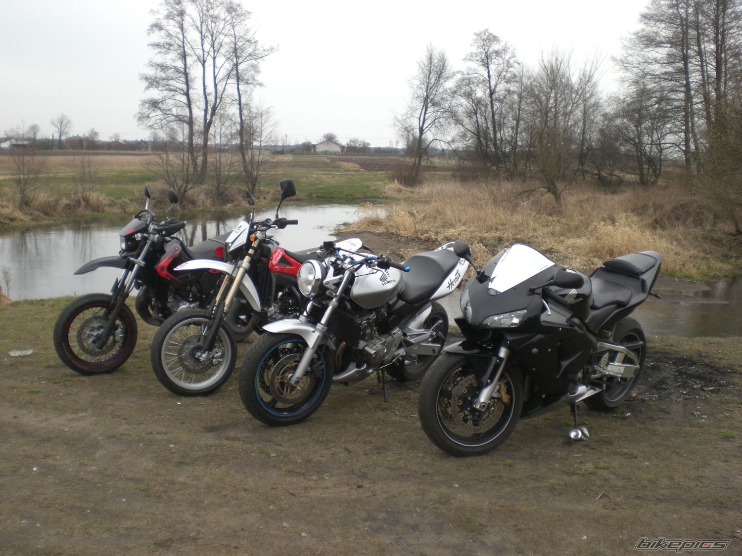 Photo 1490936