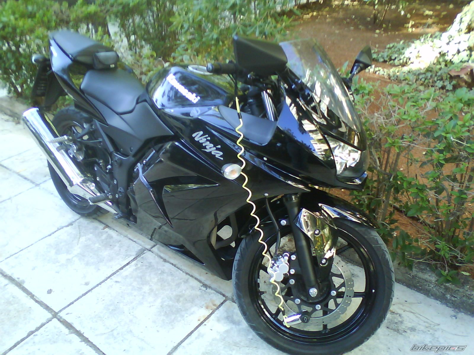 Photo 1490985