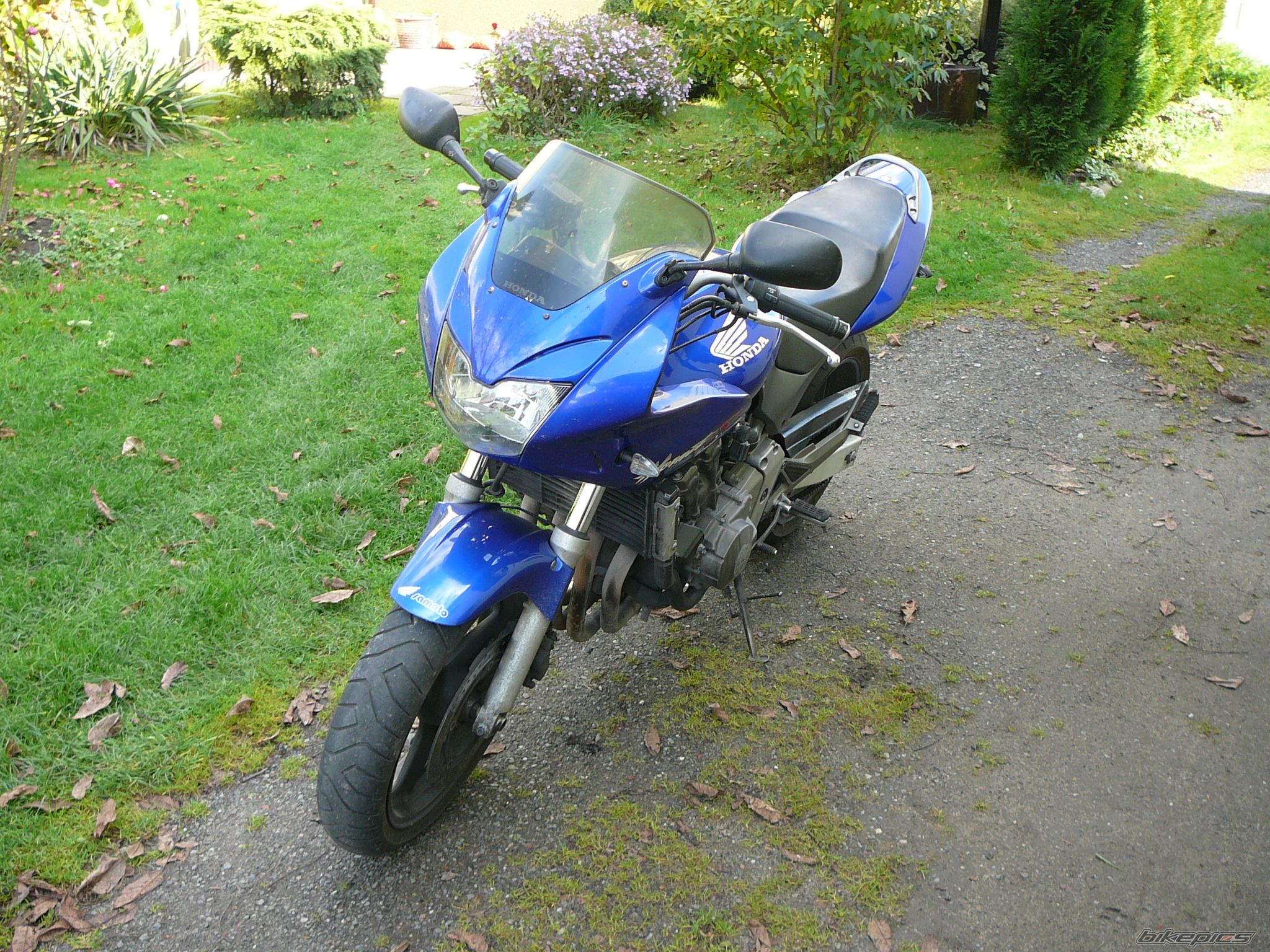 Photo 1491038