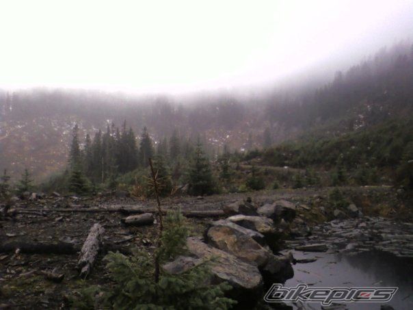 Photo 1491157