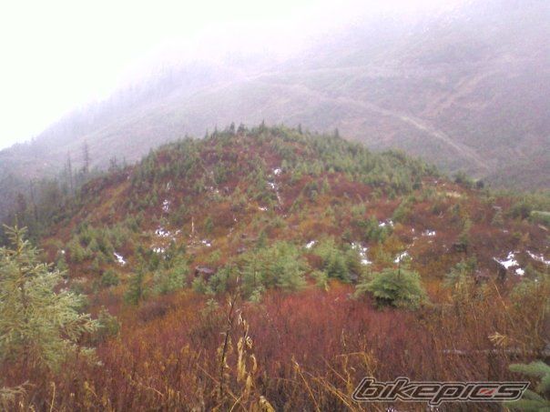 Photo 1491161