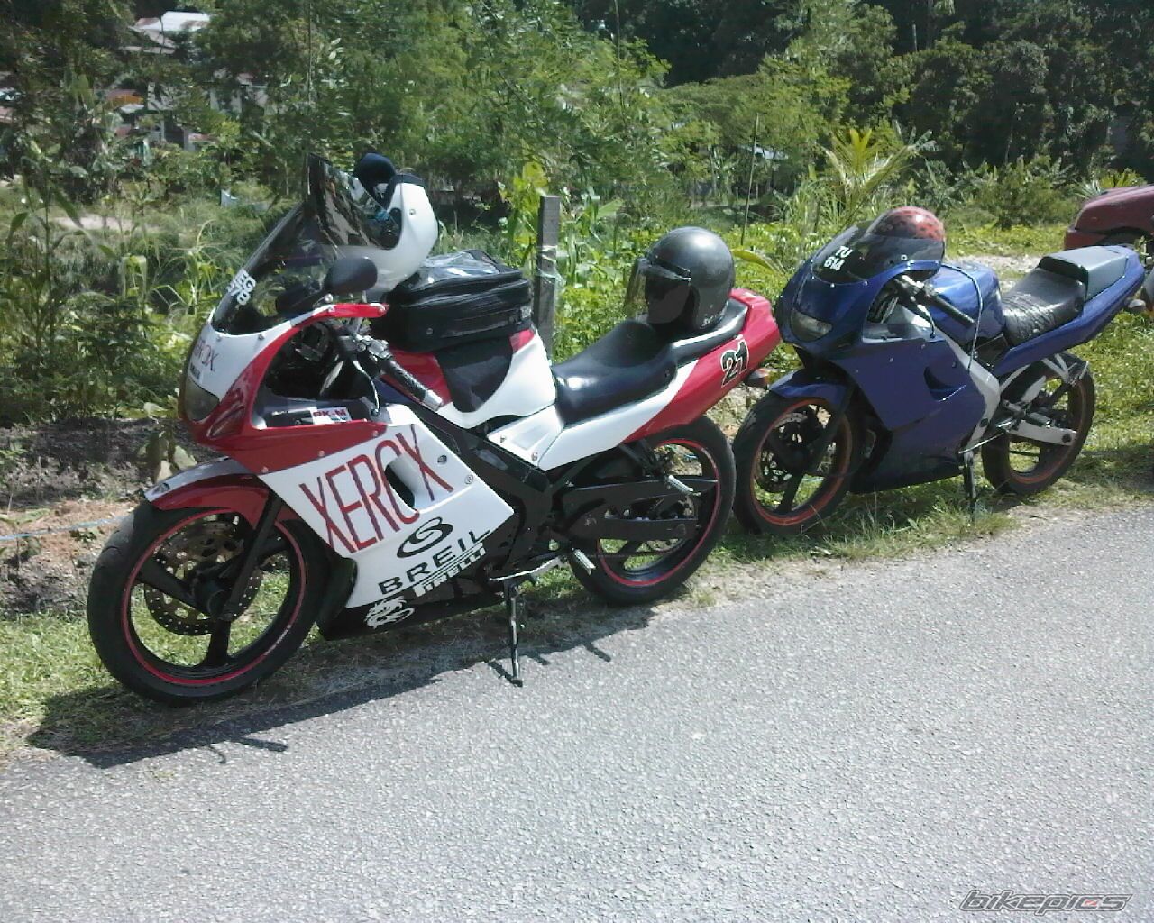 Photo 1491195