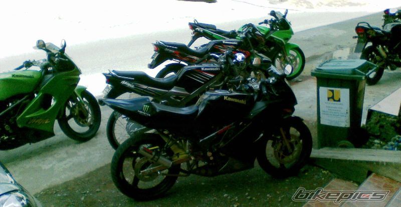 Photo 1491198