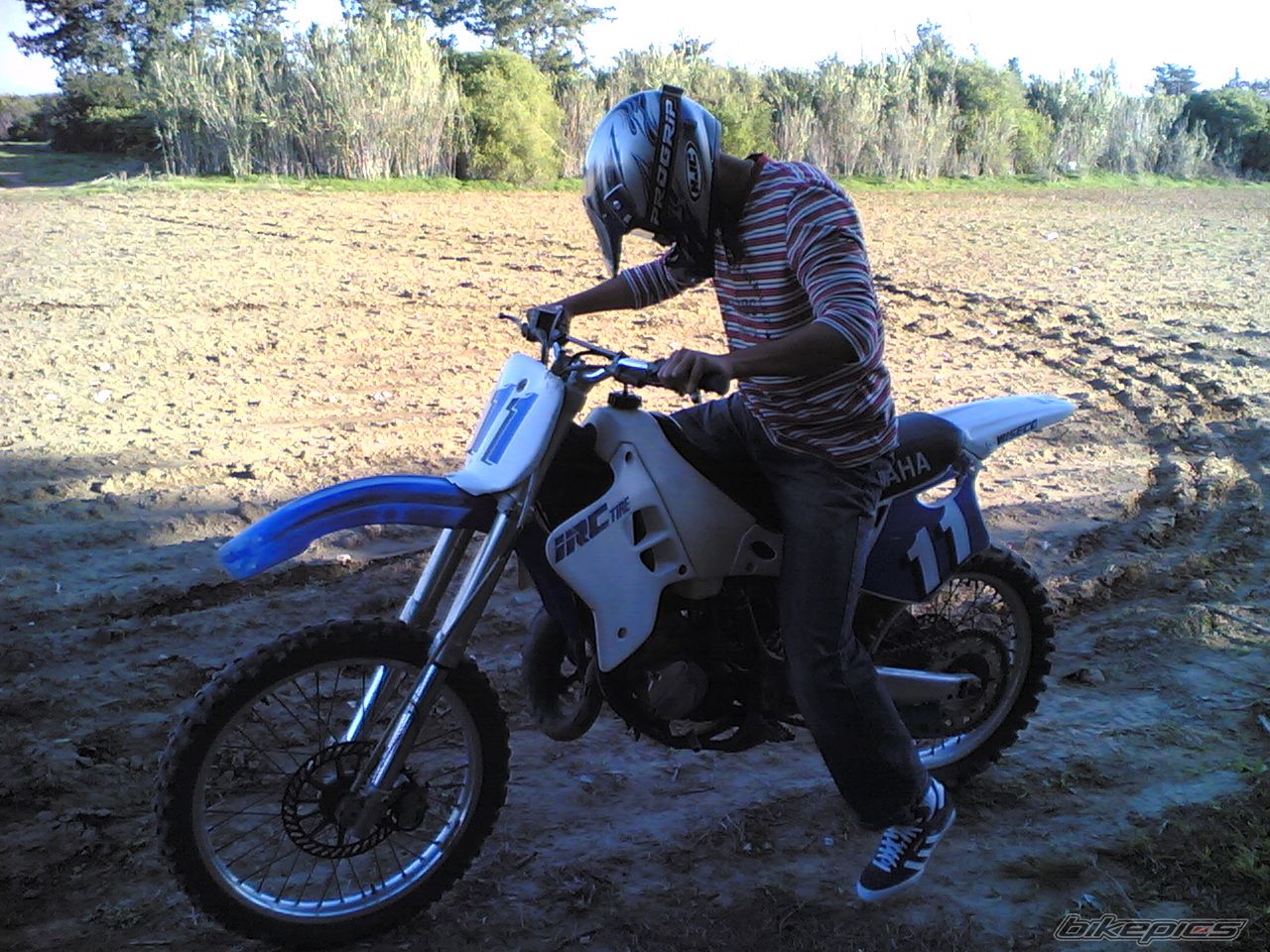 Photo 1491330