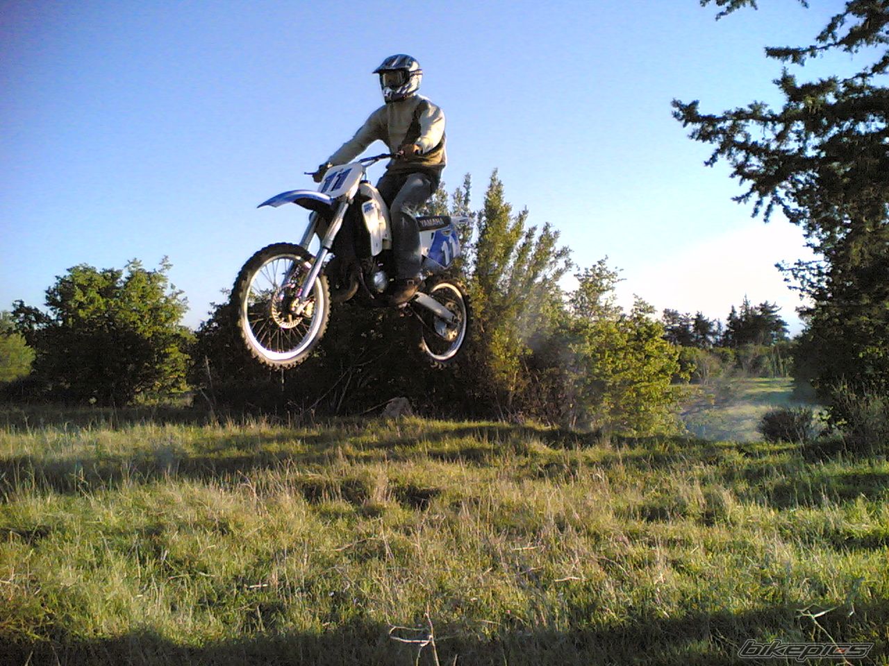 Photo 1491355