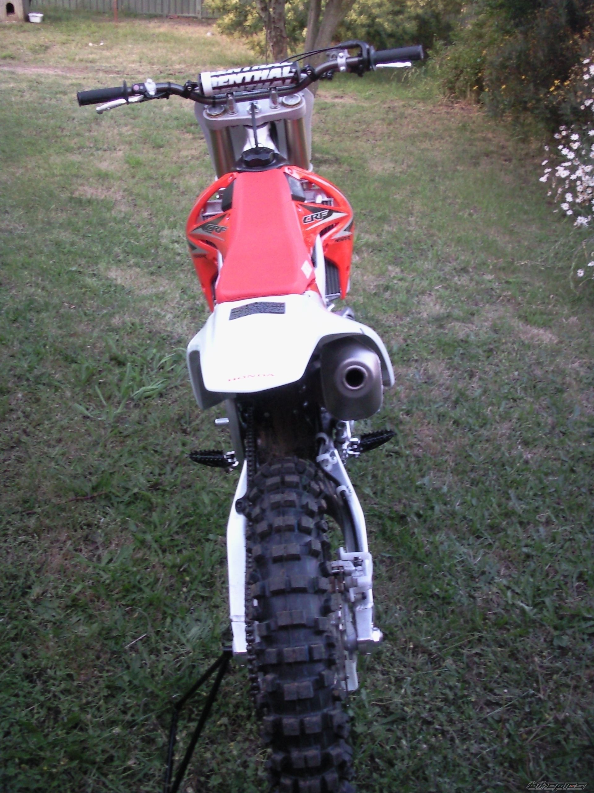 Photo 1491360