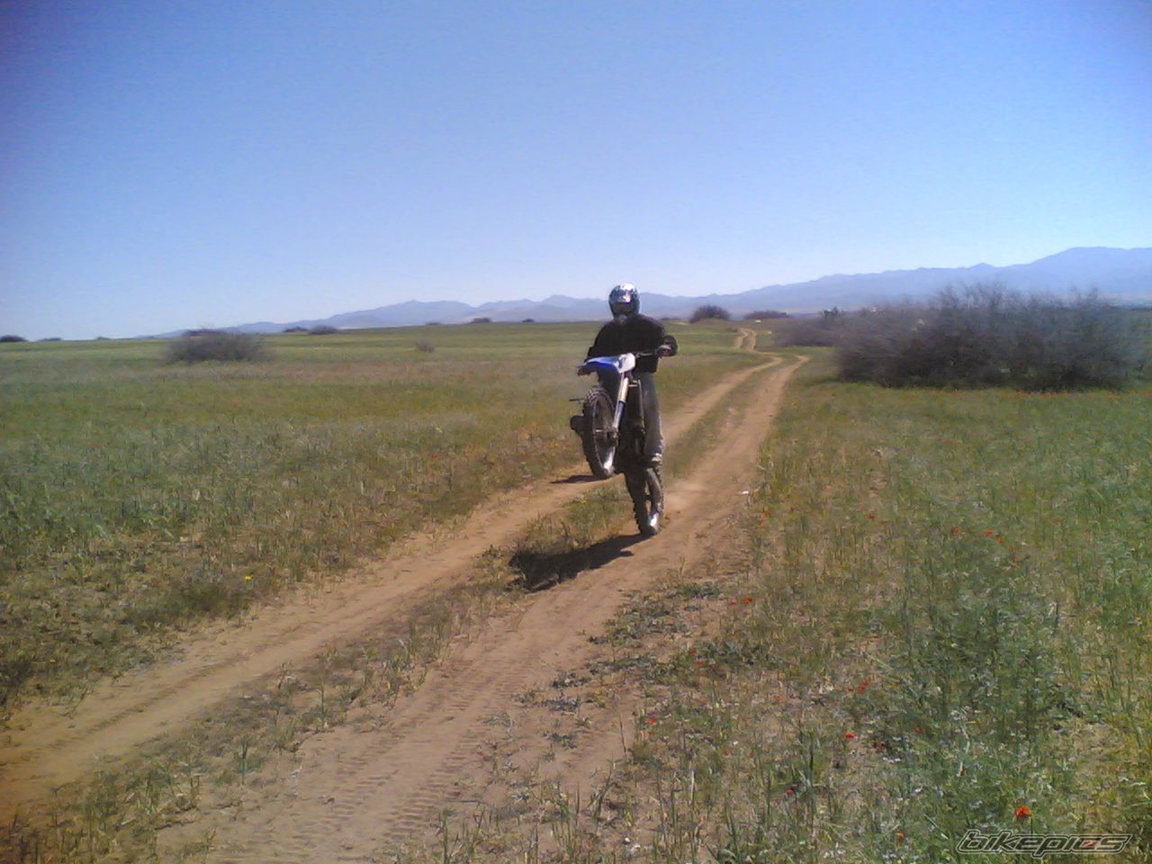 Photo 1491386