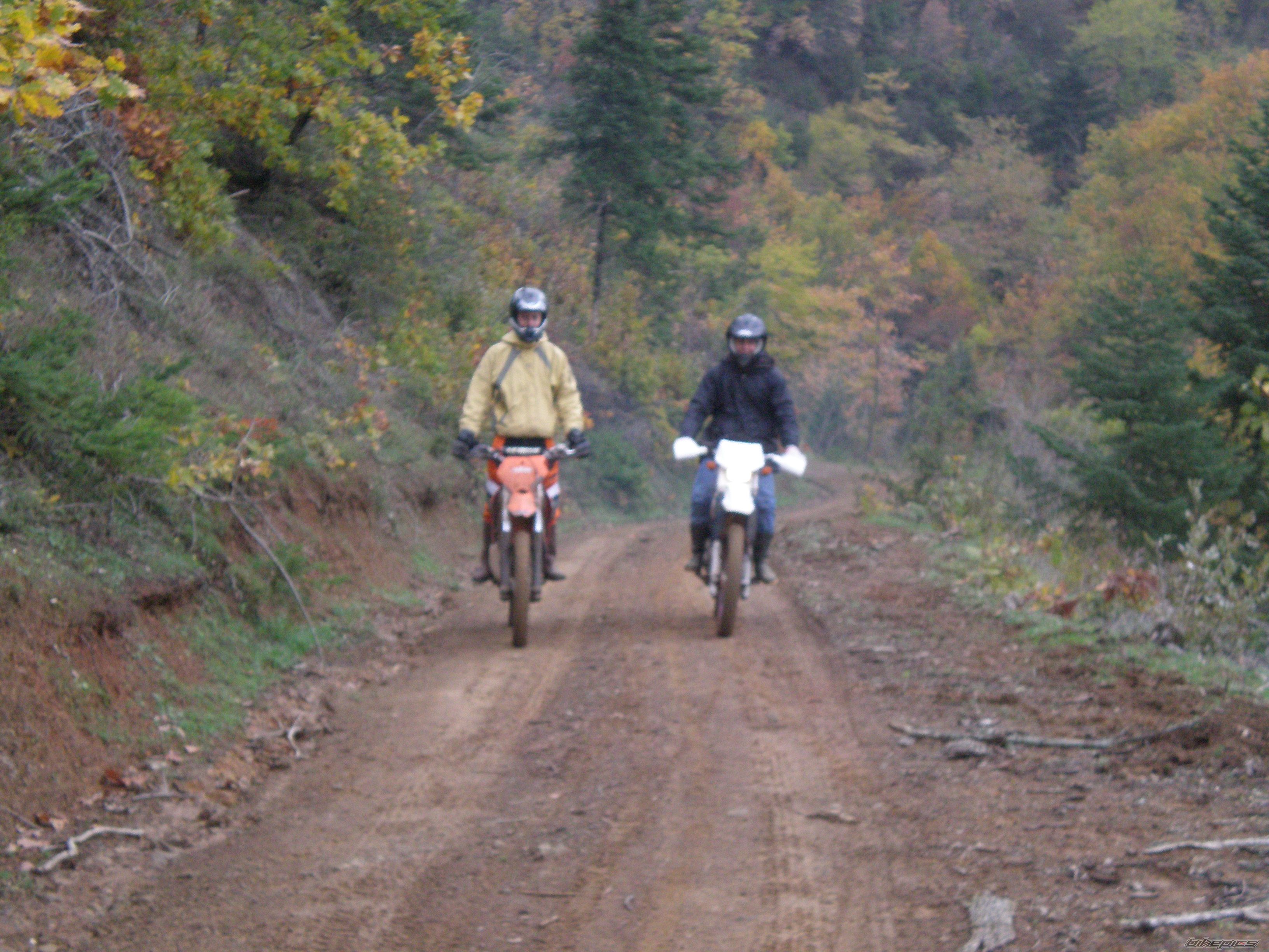 Bike Photo 1491483
