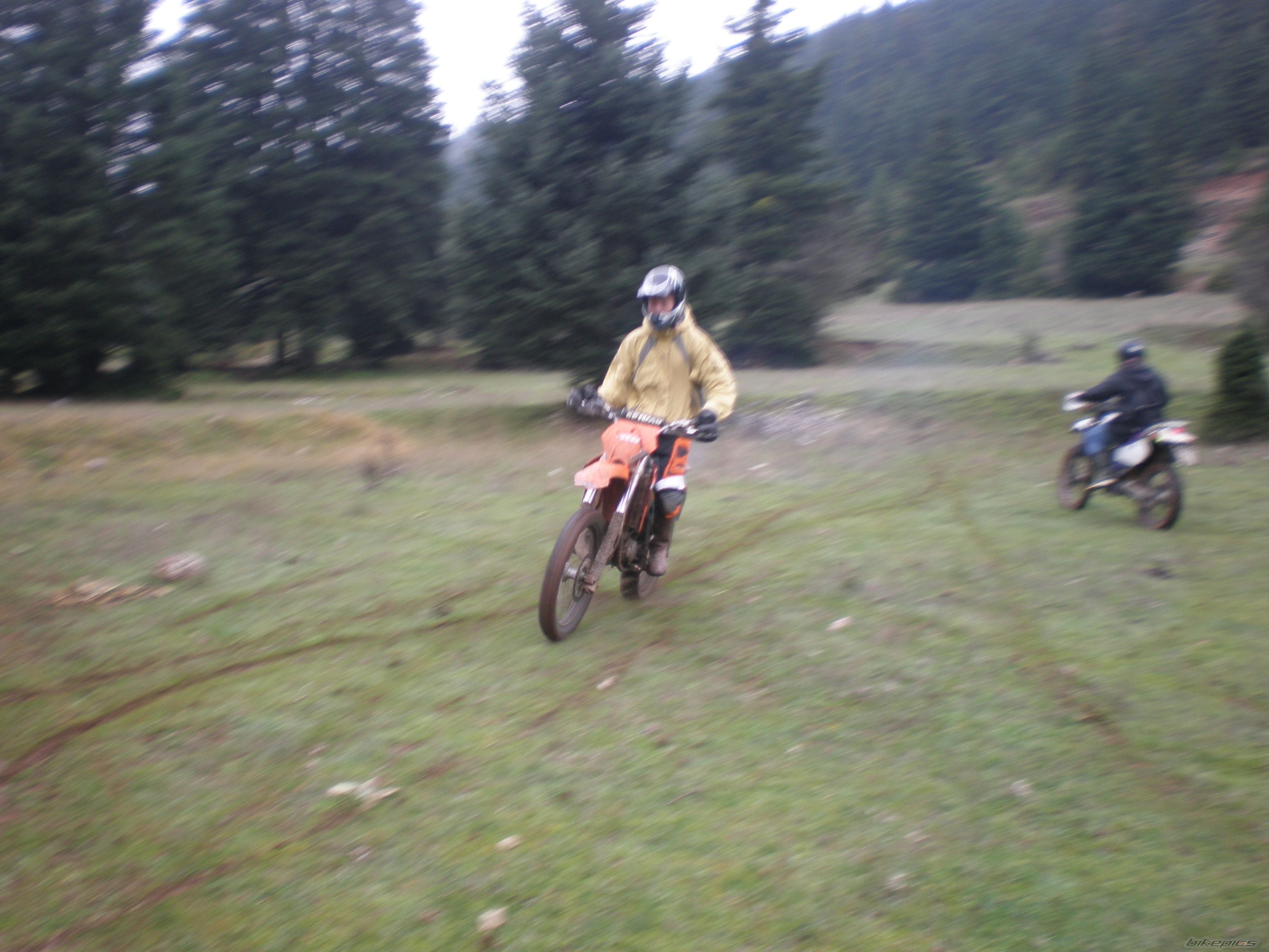 Photo 1491485