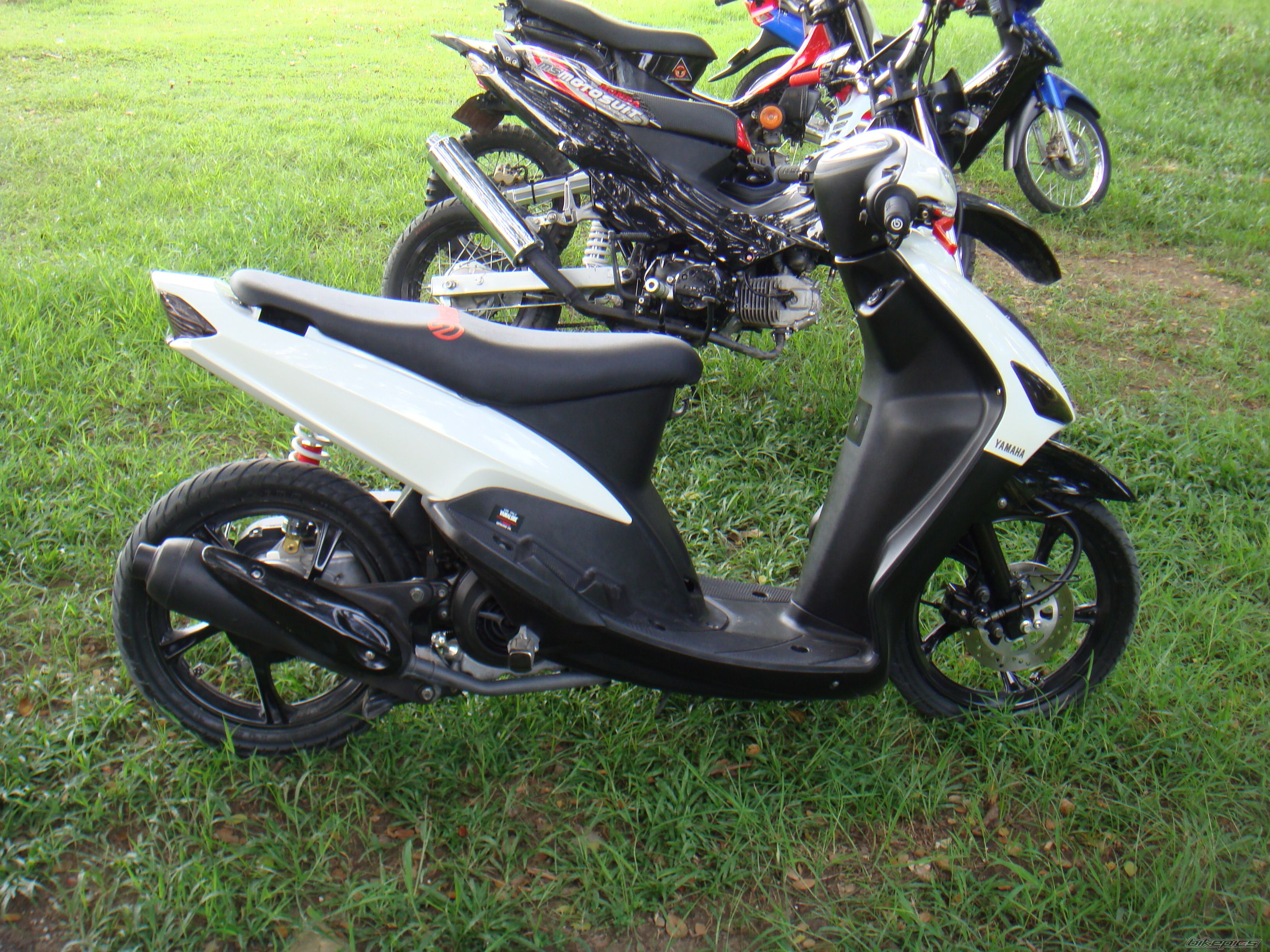 Photo 1491503