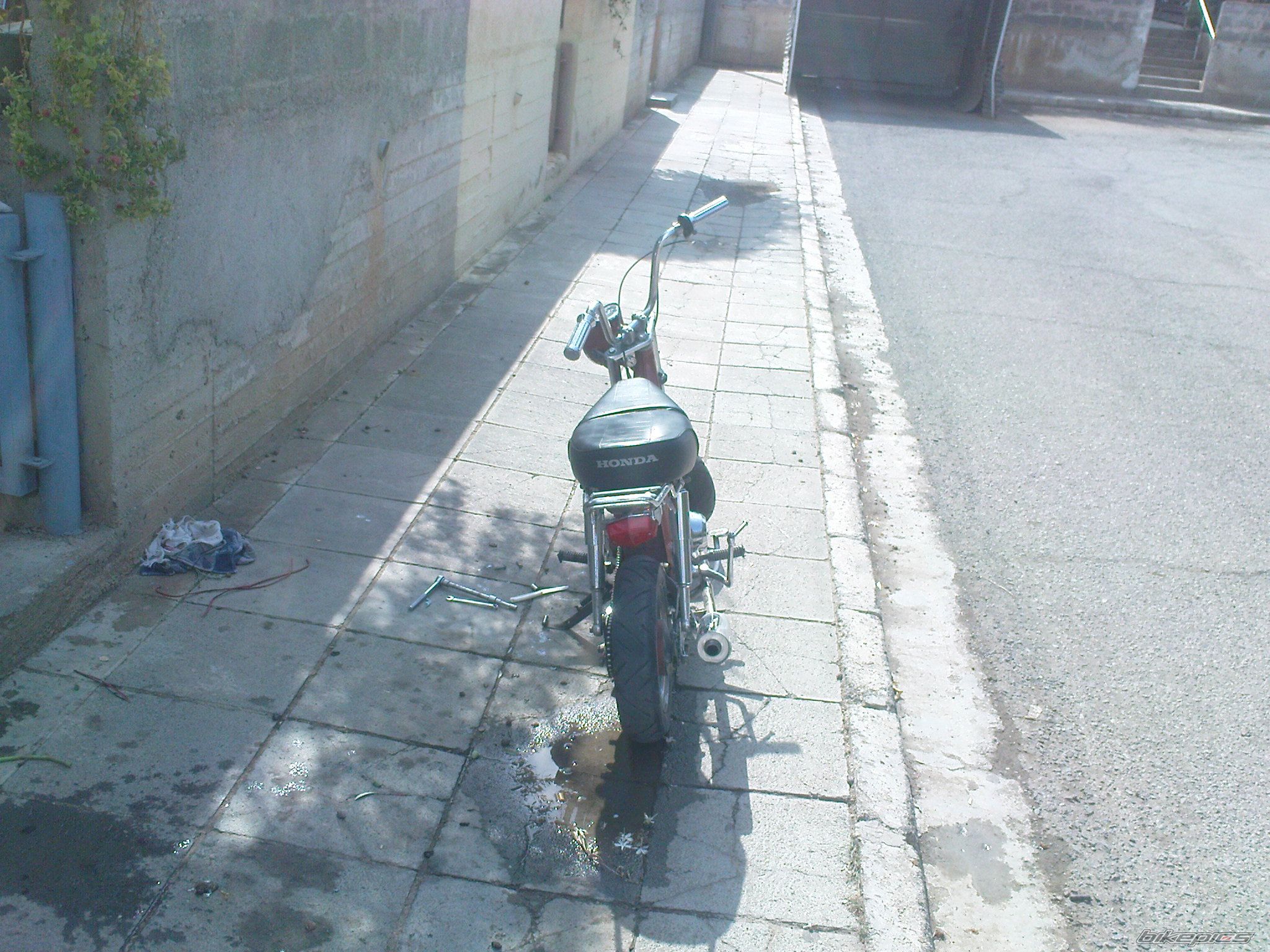 Photo 1491528