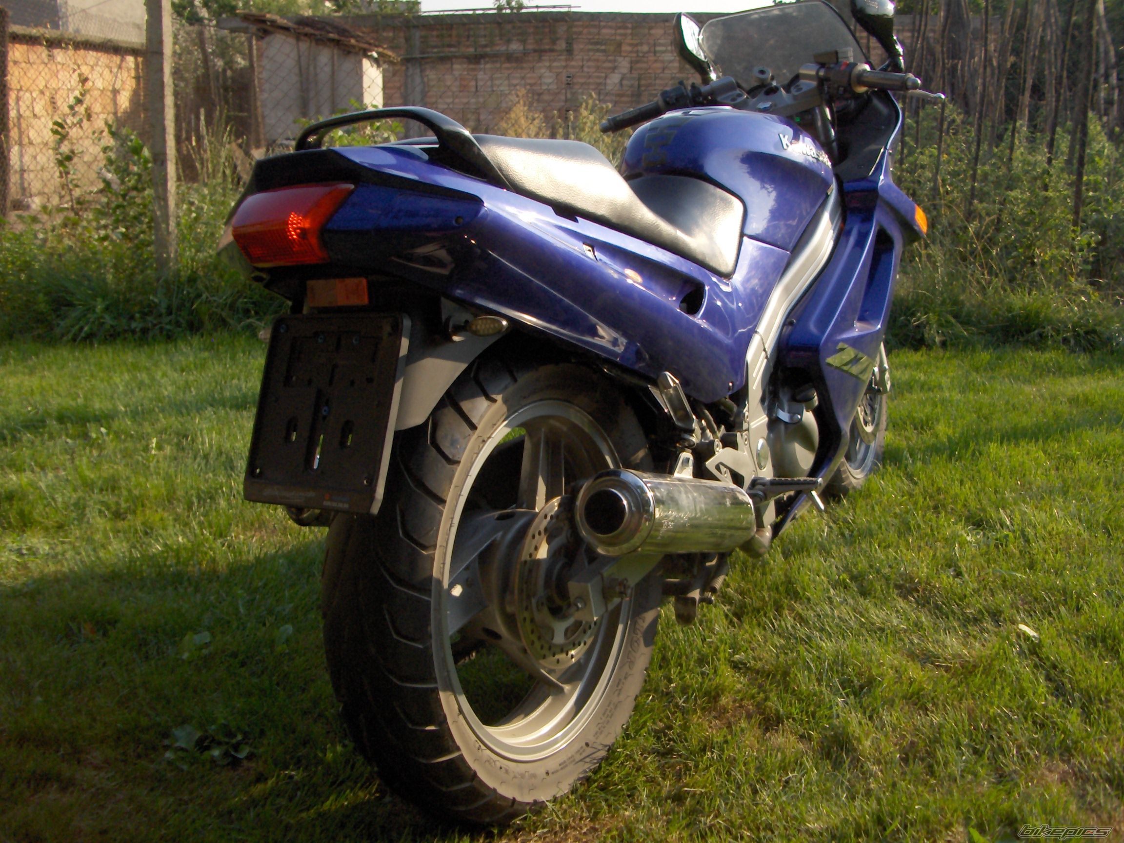Photo 1491550