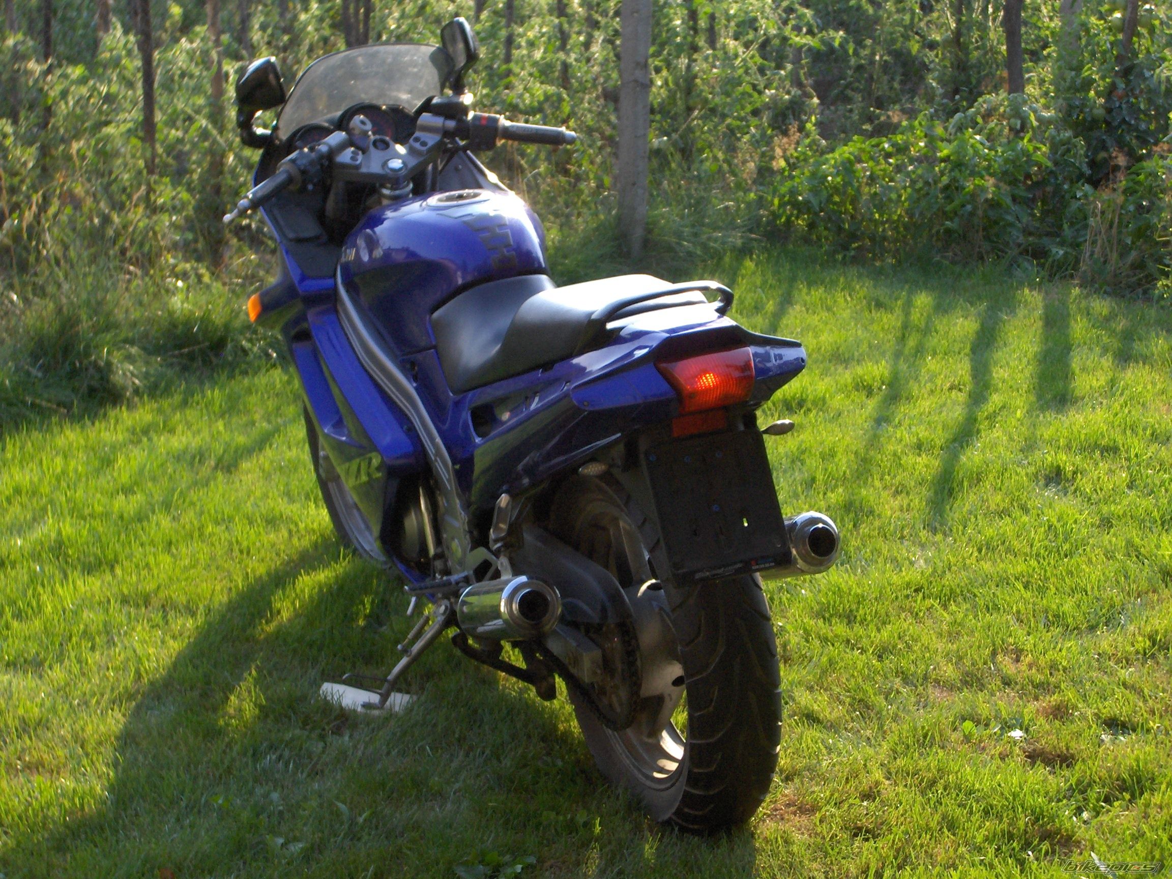 Photo 1491552