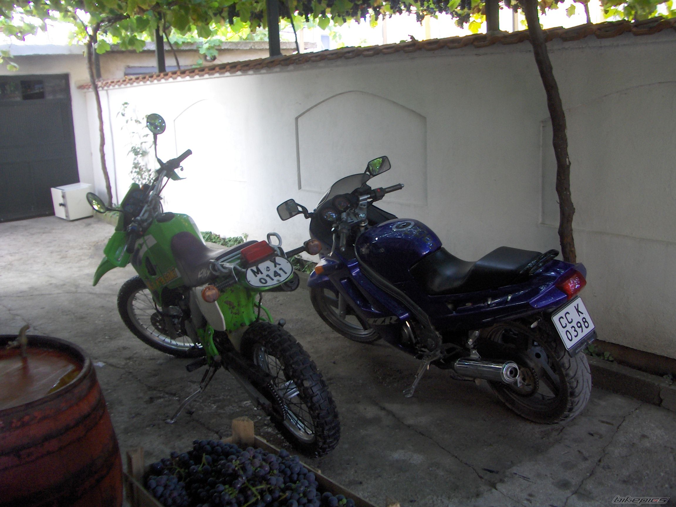 Photo 1491556