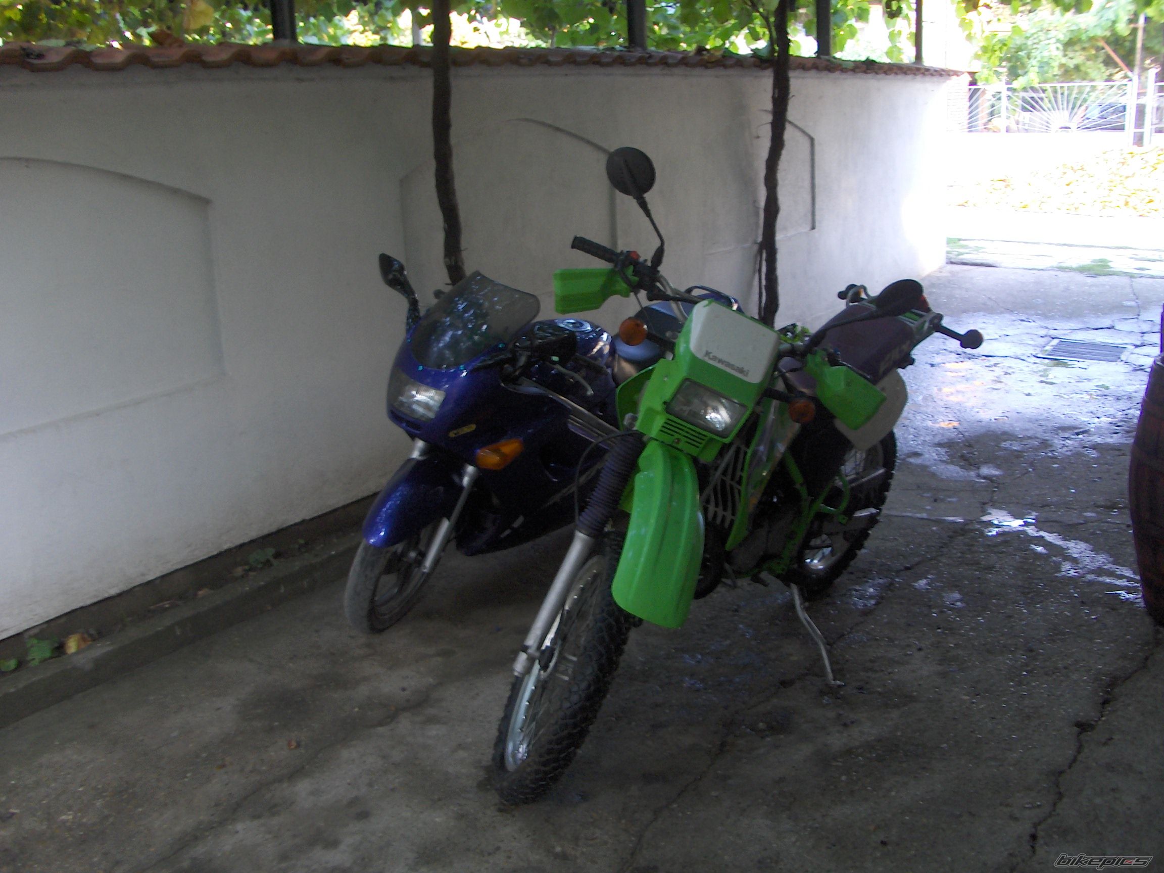 Photo 1491557