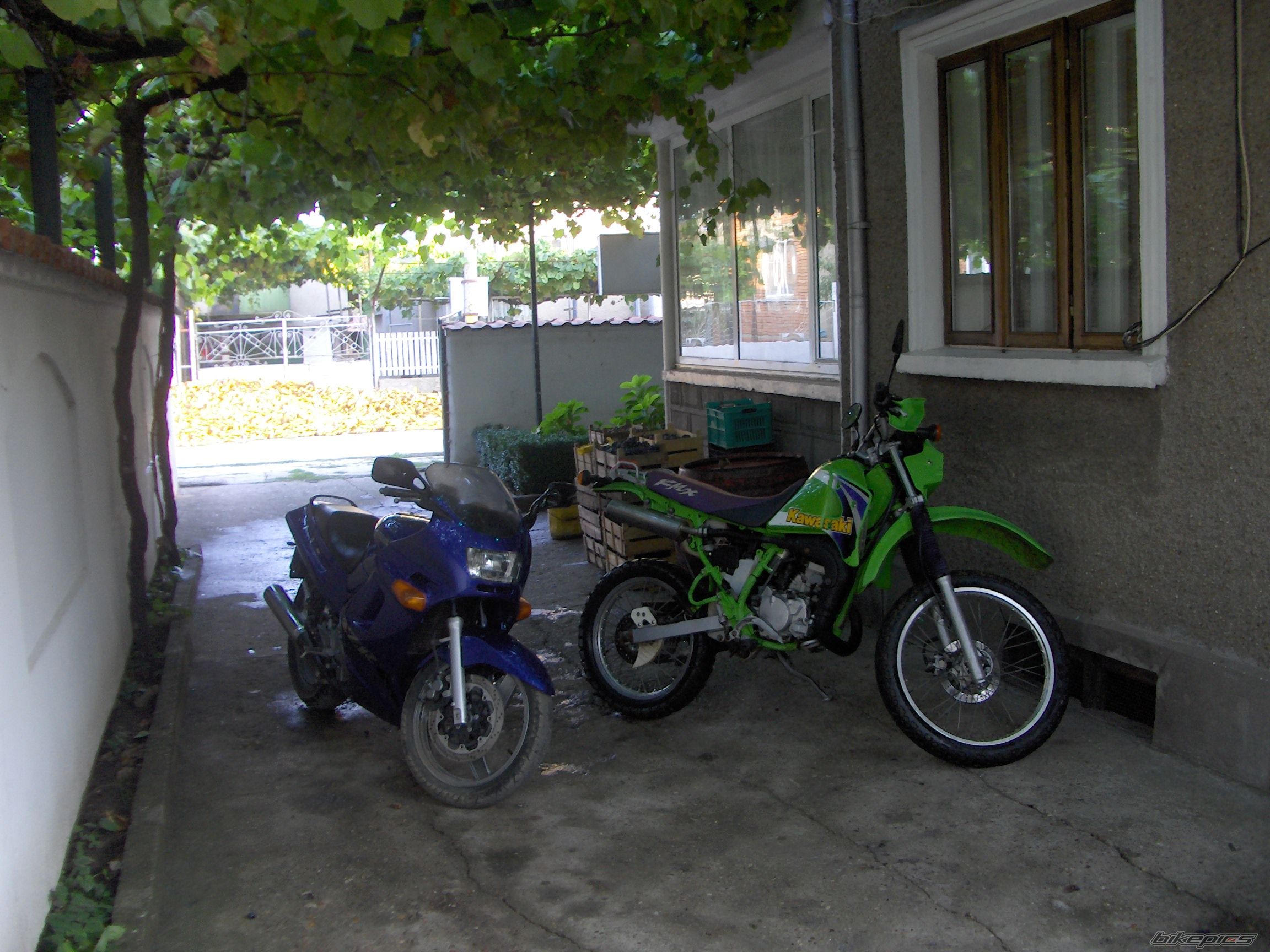 Photo 1491559