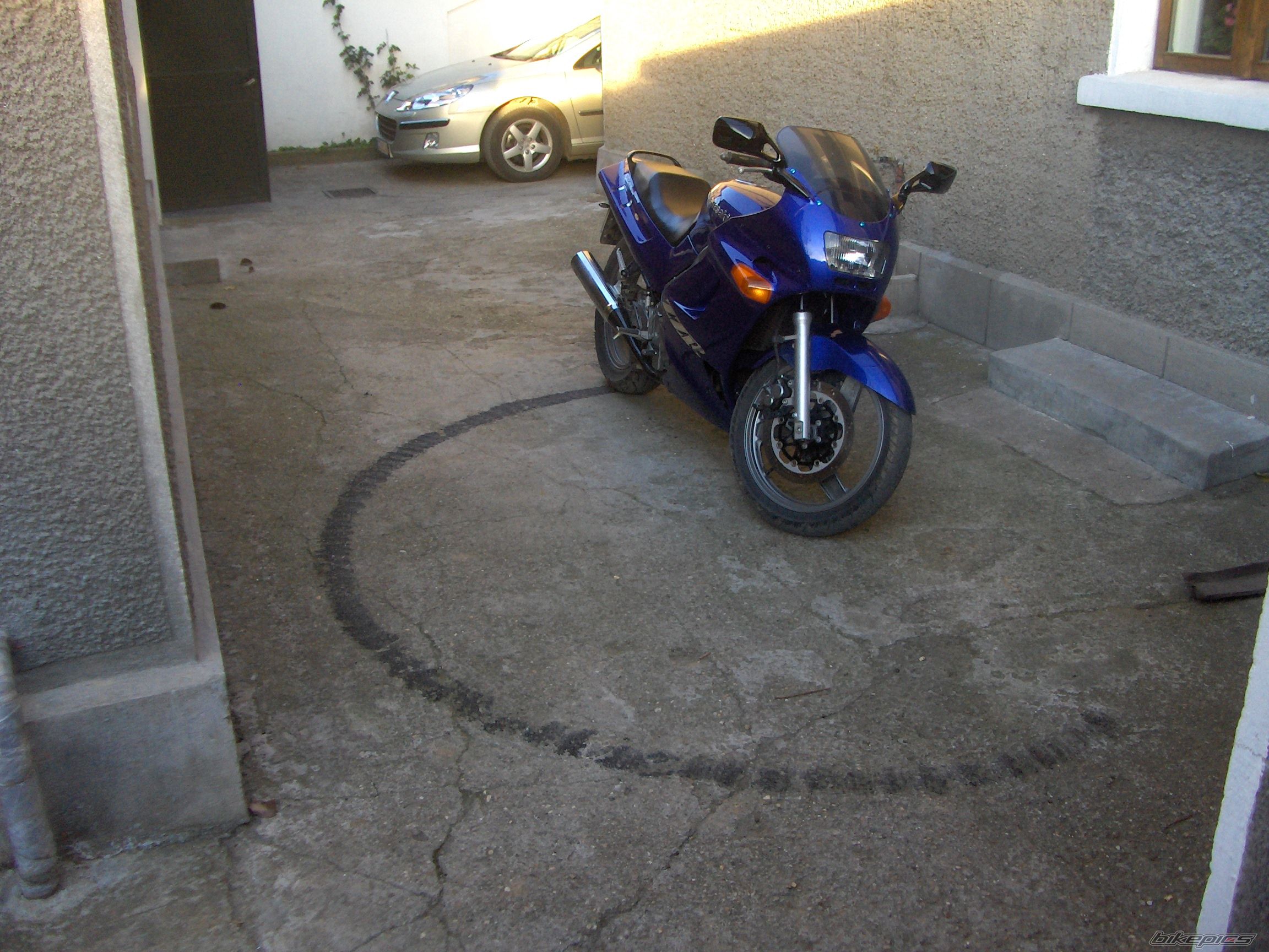 Photo 1491564